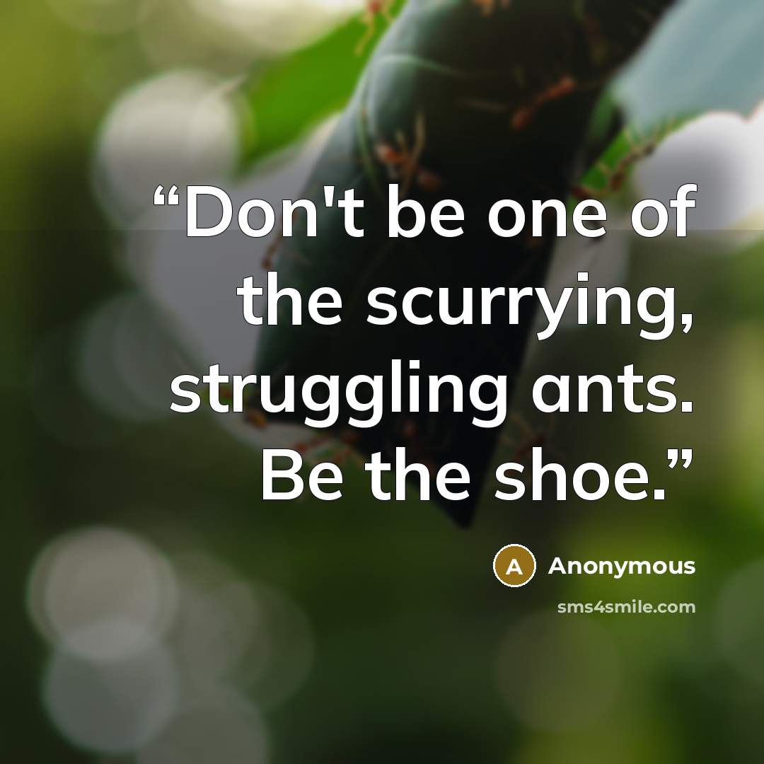 “Don't be one of the scurrying, struggling ants. Be the shoe.” quote by Anonymous