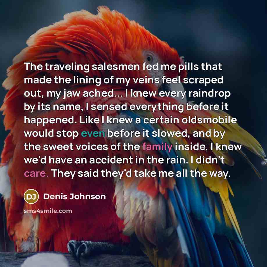 “The traveling salesmen fed me pills that made the lining…” quote by Denis Johnson