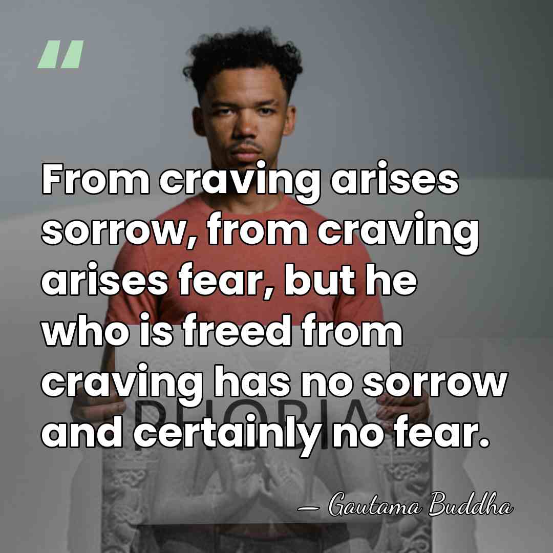 From craving arises sorrow, from craving arises fear, but he who is&hellip; - Gautama Buddha