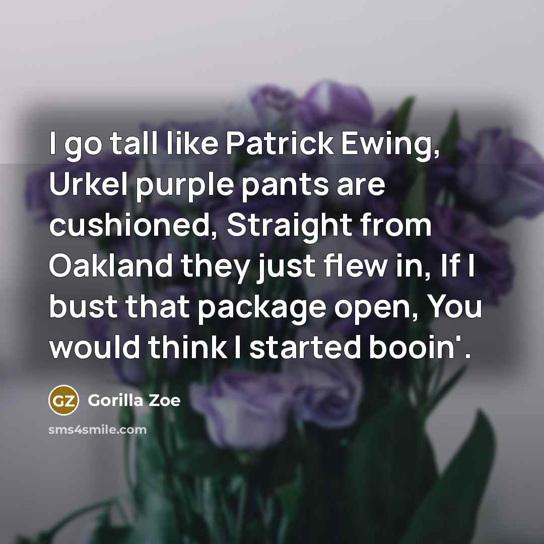 “I go tall like Patrick Ewing, Urkel purple pants are cushioned, Straight from Oakland they just flew in, If I bust that package open, You would think I started booin'.” quote by Gorilla Zoe