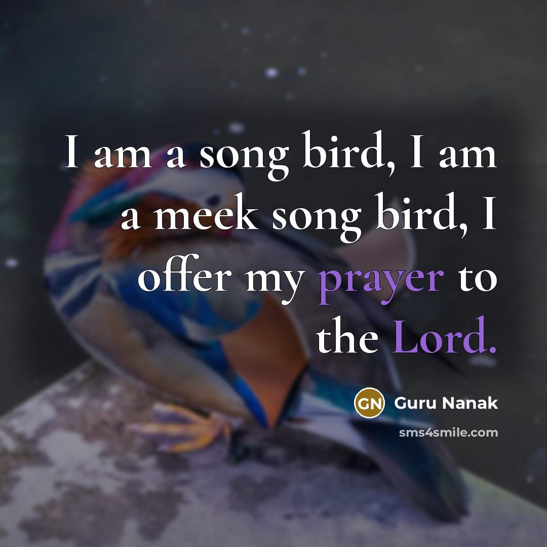 “I am a song bird, I am a meek song…” quote by Guru Nanak