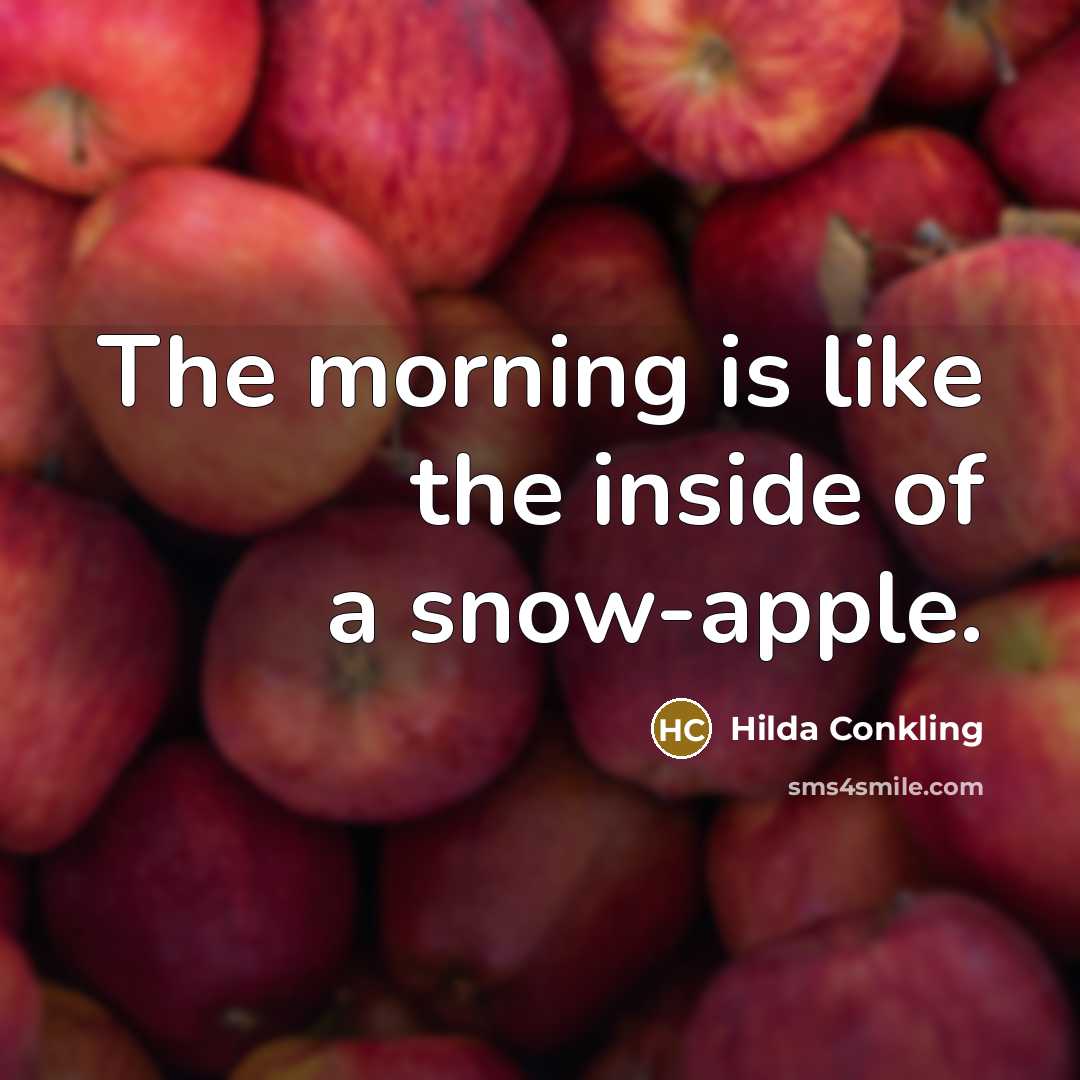 “The morning is like the inside of a snow-apple.…” quote by Hilda Conkling