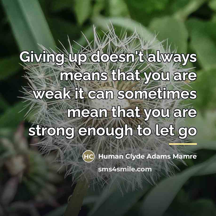 “Giving up doesn't always means that you are weak it…” quote by Human Clyde Adams Mamre