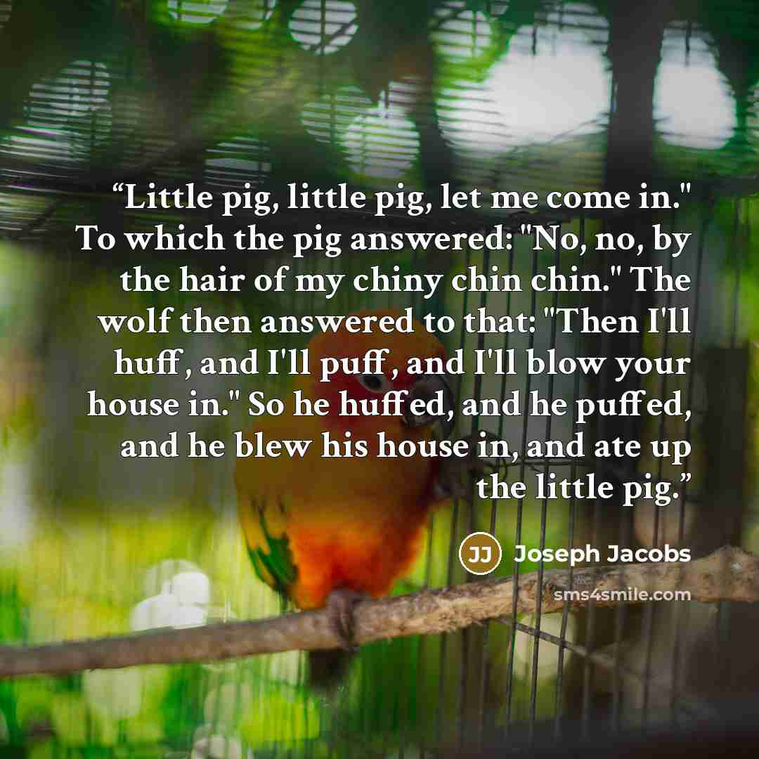 “Little pig, little pig, let me come in." To which the pig answered: "No, no, by the hair of my chiny chin chin." The wolf then answered to that: "Then I'll huff, and I'll puff, and I'll blow your house in." So he huffed, and he puffed, and he blew his house in, and ate up the little pig.” quote by Joseph Jacobs