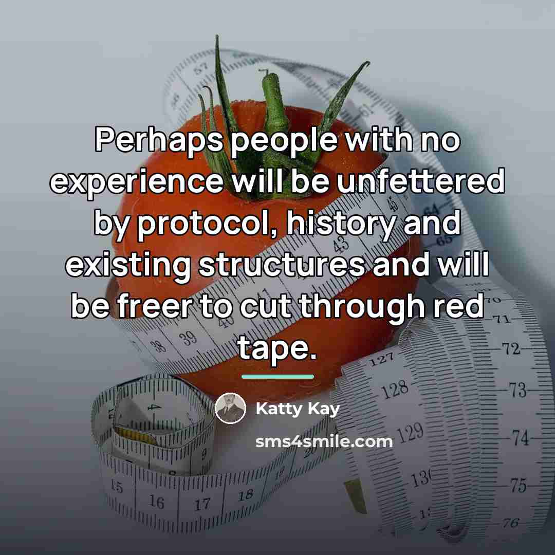 “Perhaps people with no experience will be unfettered by protocol,…” quote by Katty Kay