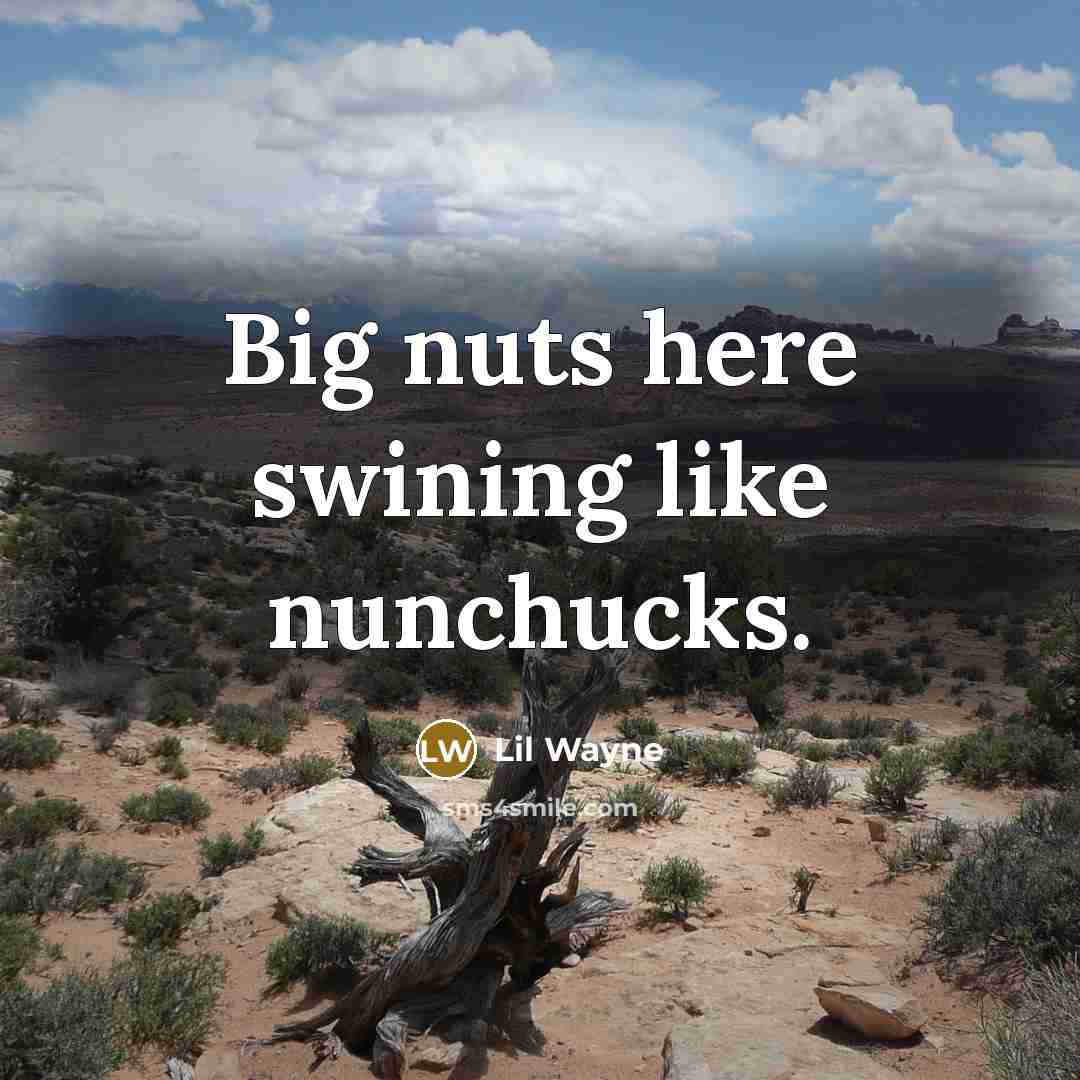 “Big nuts here swining like nunchucks.…” quote by Lil Wayne