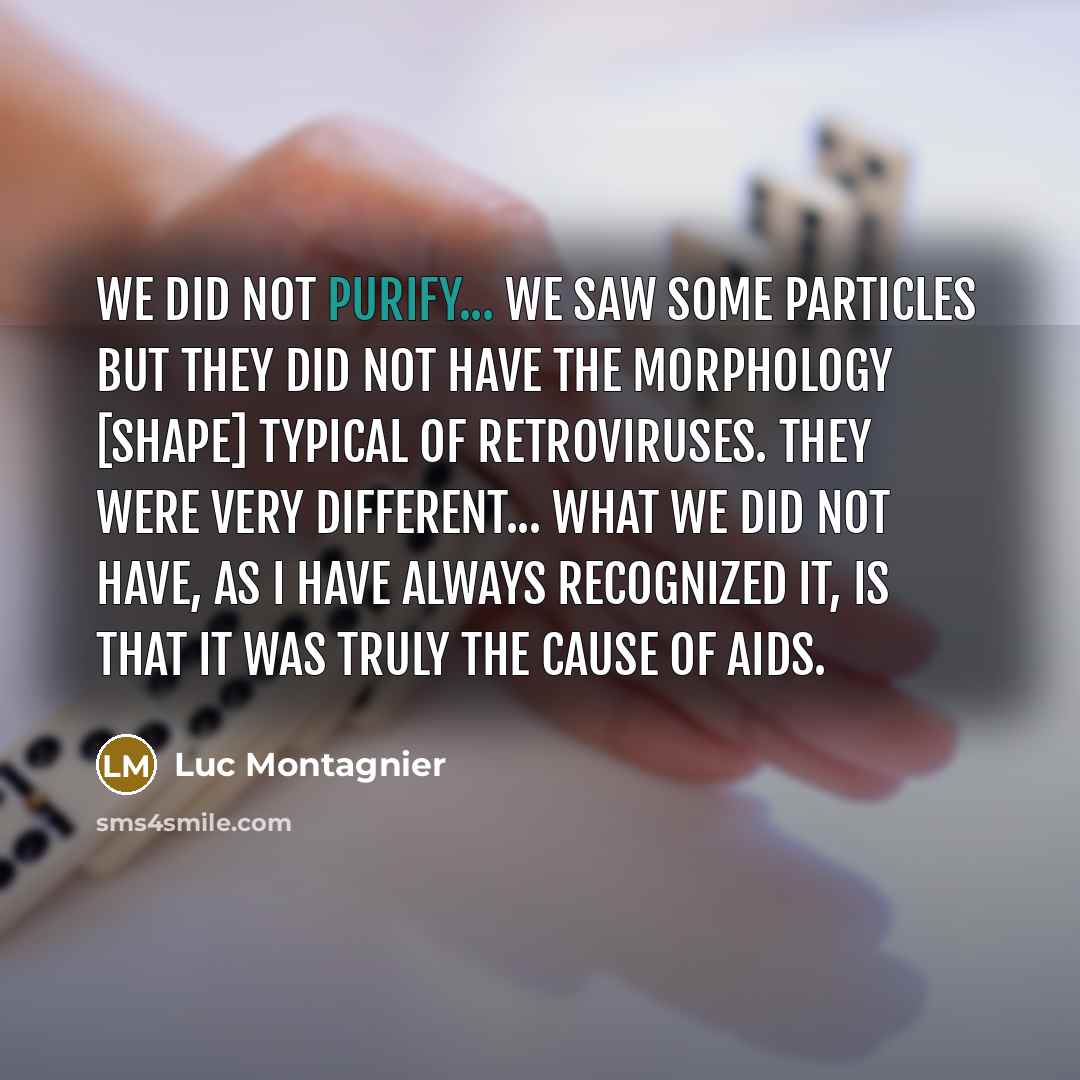 “We did not purify... We saw some particles but they…” quote by Luc Montagnier