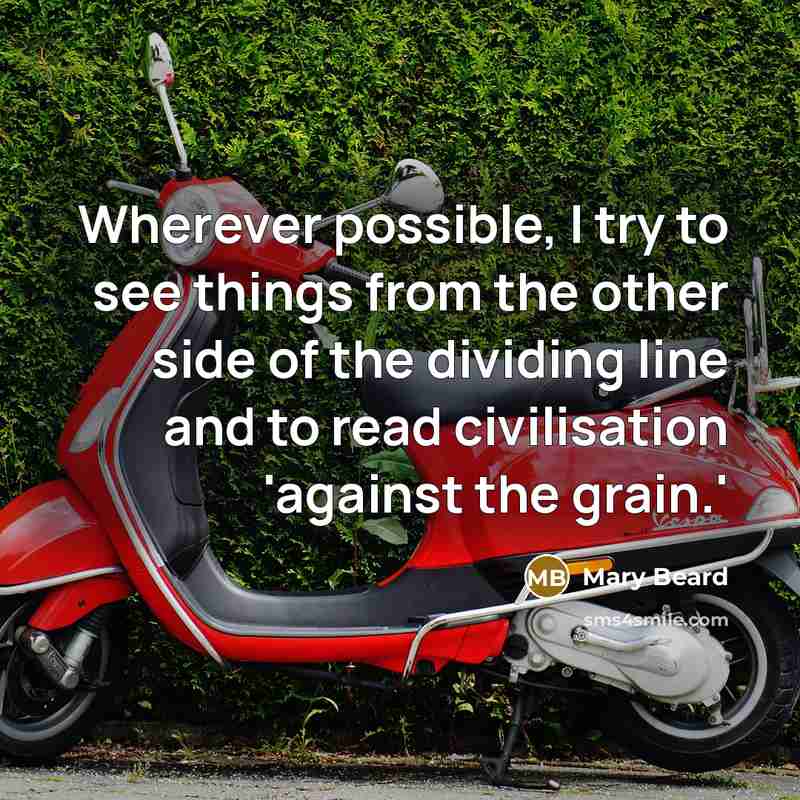 “Wherever possible, I try to see things from the other side of the dividing line and to read civilisation 'against the grain.'” quote by Mary Beard