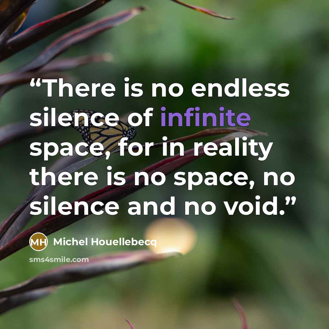 “There is no endless silence of infinite space, for in reality there is no space, no silence and no void.” quote by Michel Houellebecq