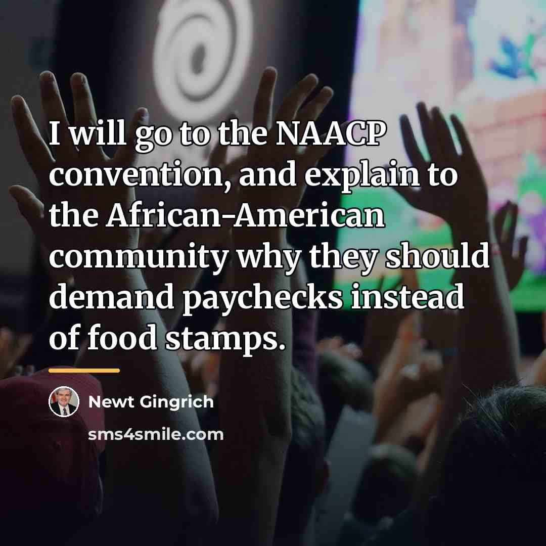 “I will go to the NAACP convention, and explain to…” quote by Newt Gingrich