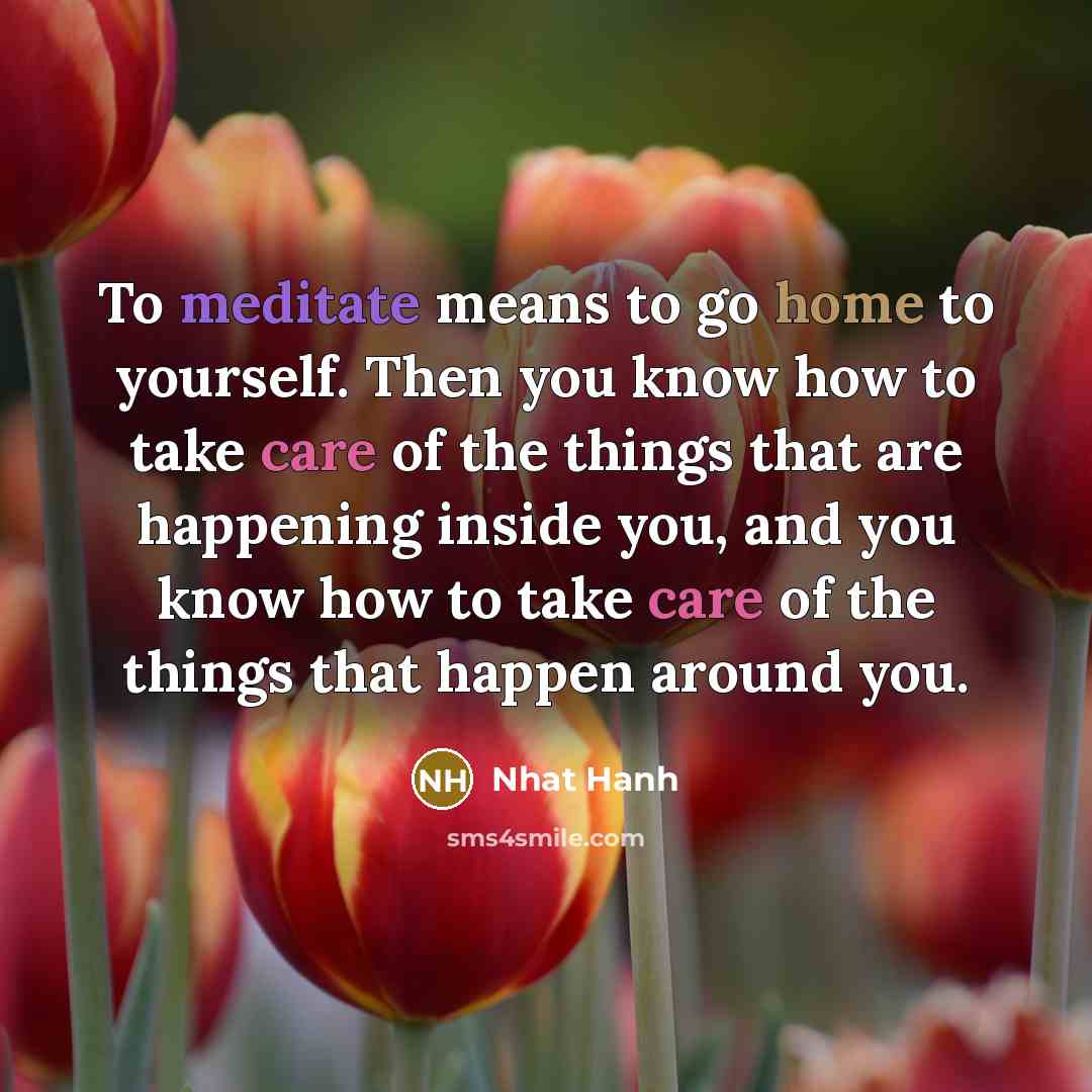 “To meditate means to go home to yourself. Then you…” quote by Nhat Hanh