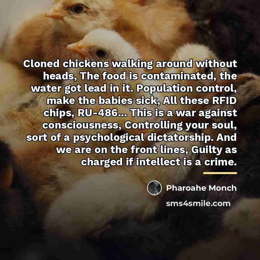 “Cloned chickens walking around without heads, The food is contaminated,…” quote by Pharoahe Monch