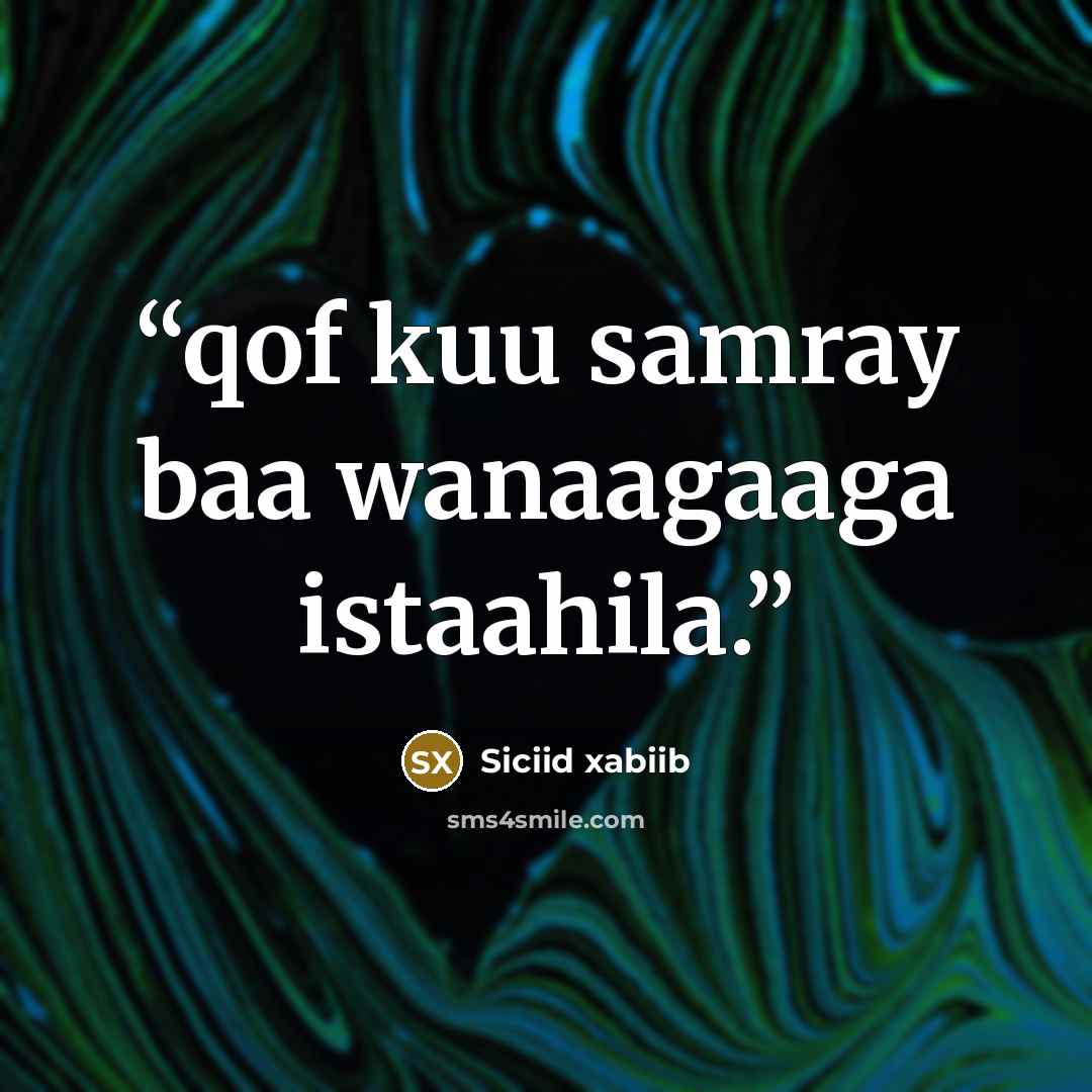 “qof kuu samray baa wanaagaaga istaahila.” quote by Siciid xabiib