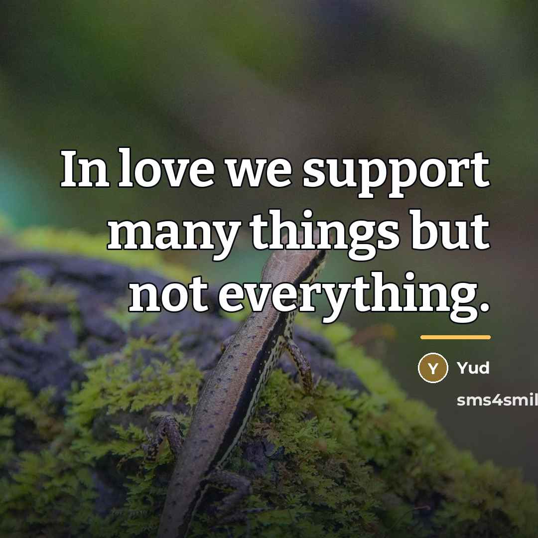 “In love we support many things but not everything.…” quote by Yud