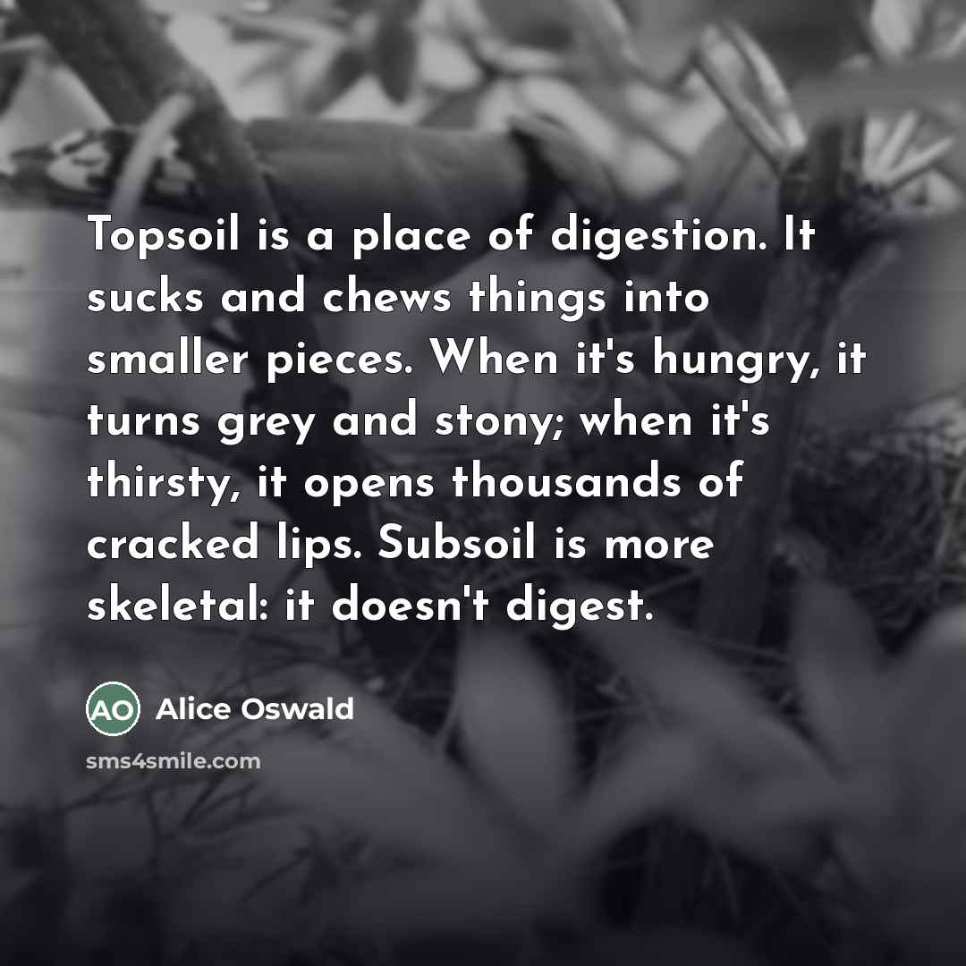 “Topsoil is a place of digestion. It sucks and chews…” quote by Alice Oswald