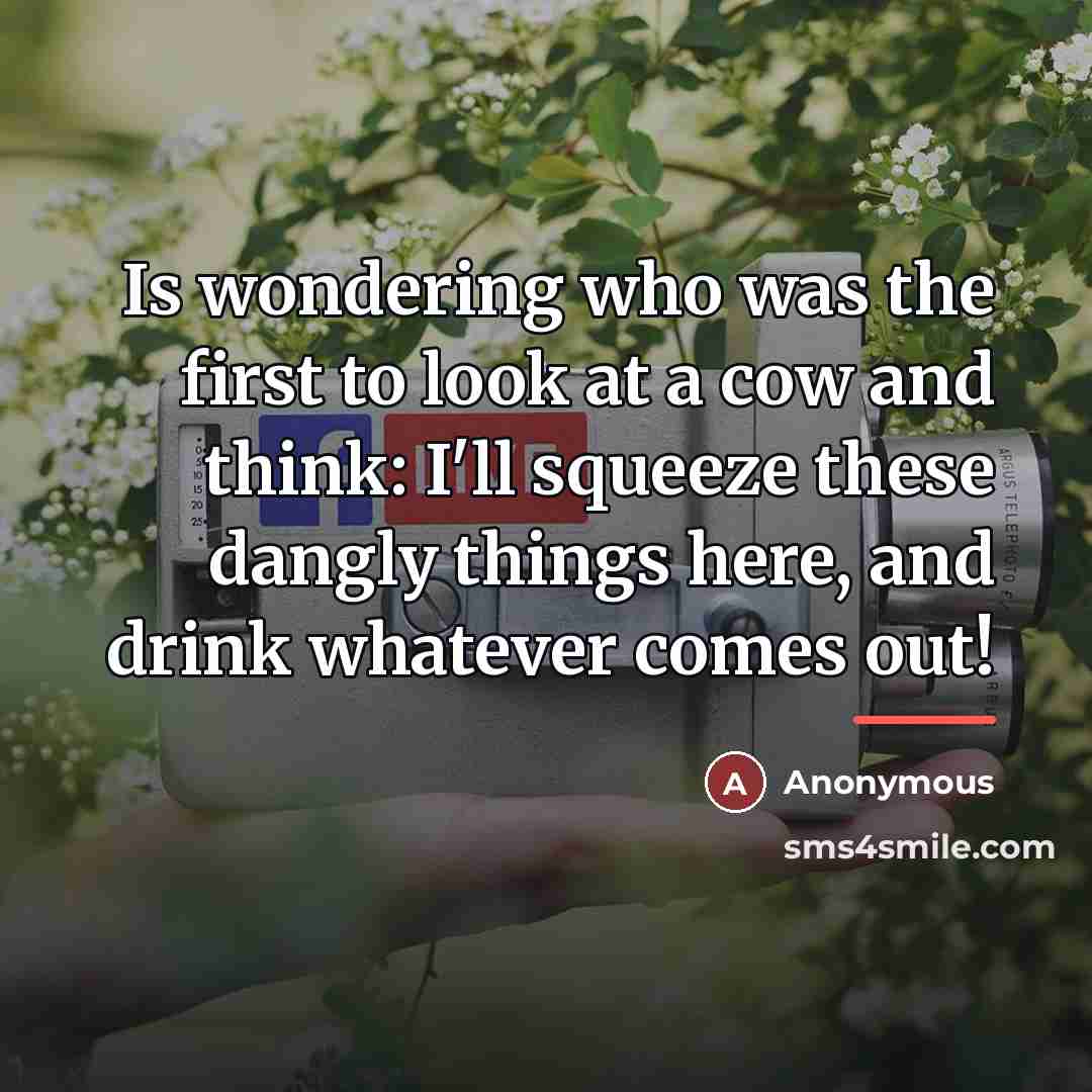 “Is wondering who was the first to look at a…” quote by Anonymous