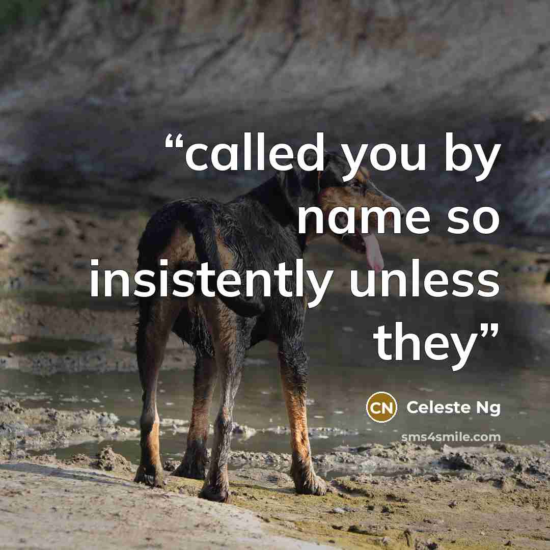 “called you by name so insistently unless they” quote by Celeste Ng