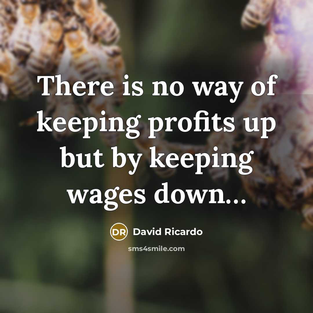 “There is no way of keeping profits up but by…” quote by David Ricardo