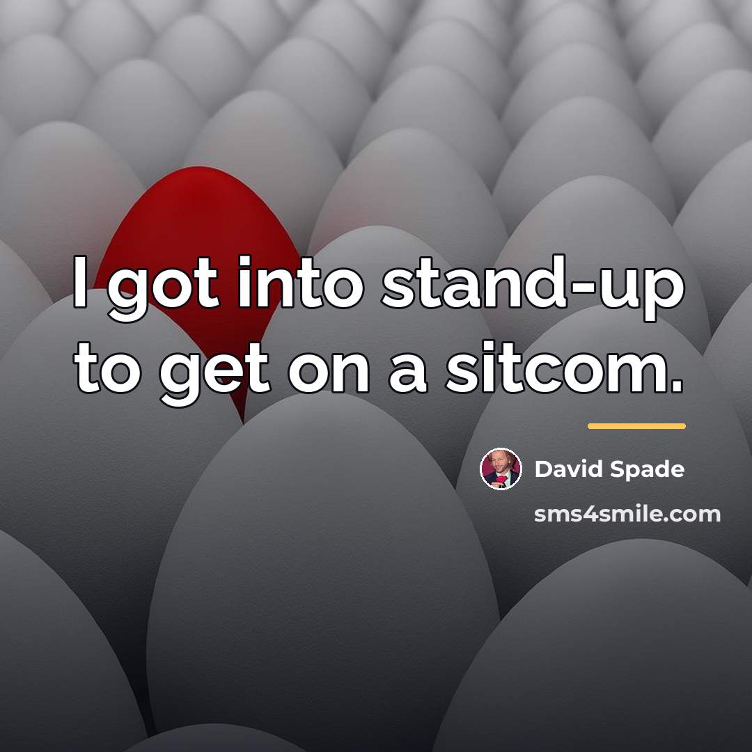 “I got into stand-up to get on a sitcom.…” quote by David Spade