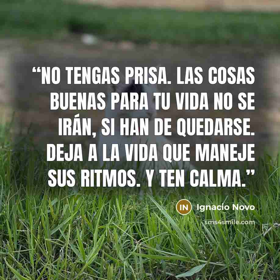 “No tengas prisa. Las cosas buenas para tu vida no se irán, si han de quedarse. Deja a la vida que maneje sus ritmos. Y ten calma.” quote by Ignacio Novo