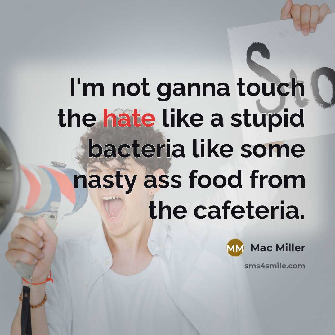 “I'm not ganna touch the hate like a stupid bacteria like some nasty ass food from the cafeteria.” quote by Mac Miller