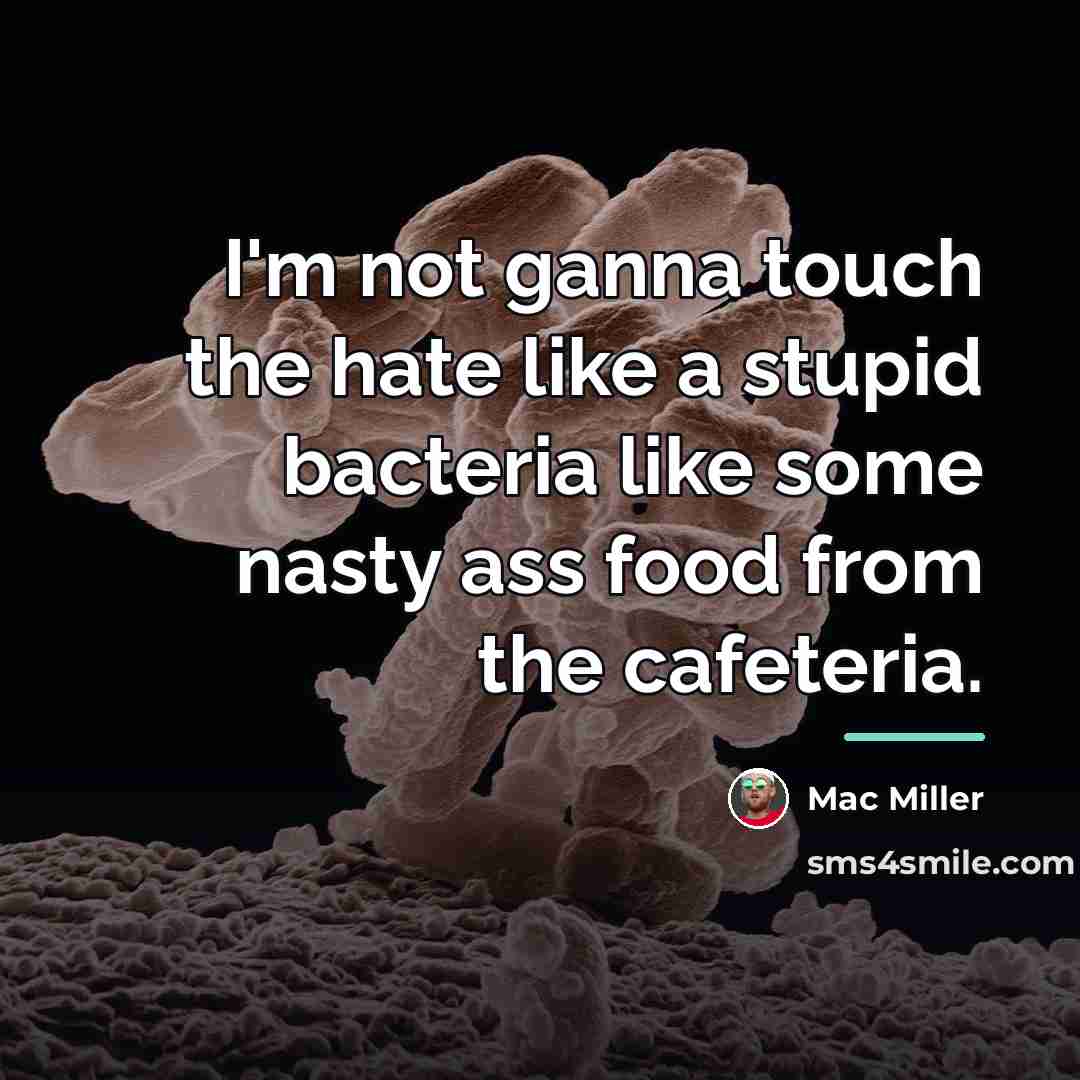 “I'm not ganna touch the hate like a stupid bacteria…” quote by Mac Miller