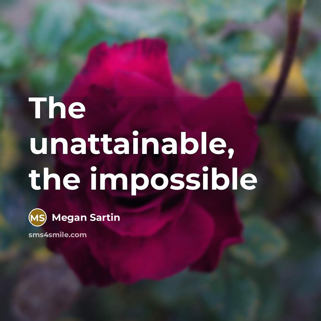 “The unattainable, the impossible…” quote by Megan Sartin