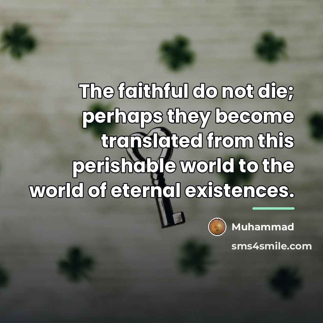 “The faithful do not die; perhaps they become translated from…” quote by Muhammad