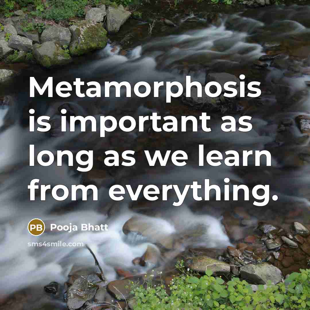 “Metamorphosis is important as long as we learn from everything.…” quote by Pooja Bhatt