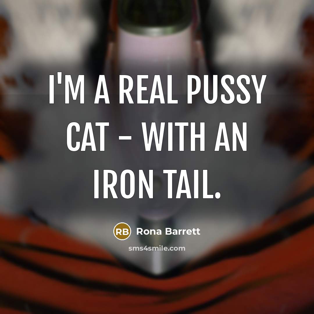 “I'm a real pussy cat - with an iron tail.…” quote by Rona Barrett