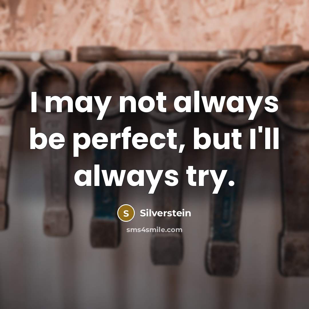“I may not always be perfect, but I'll always try.…” quote by Silverstein