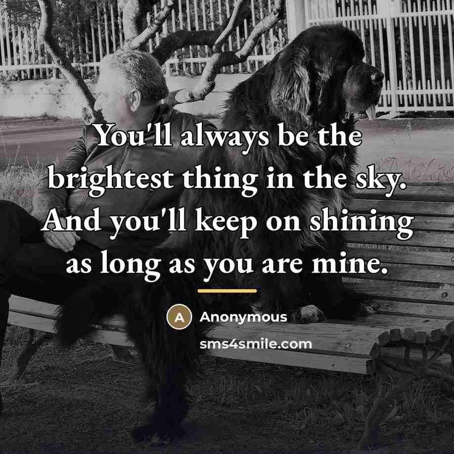 “You'll always be the brightest thing in the sky. And…” quote by Anonymous