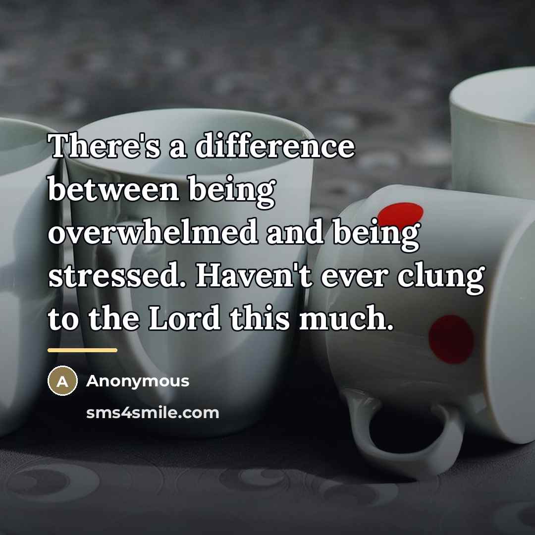 “There's a difference between being overwhelmed and being stressed. Haven't…” quote by Anonymous