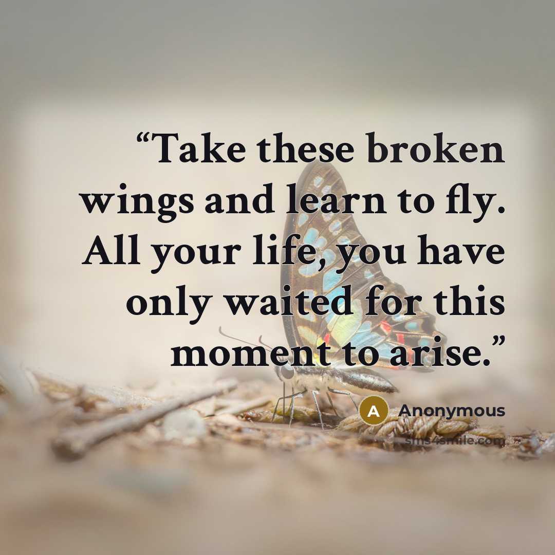 “Take these broken wings and learn to fly. All your life, you have only waited for this moment to arise.” quote by Anonymous