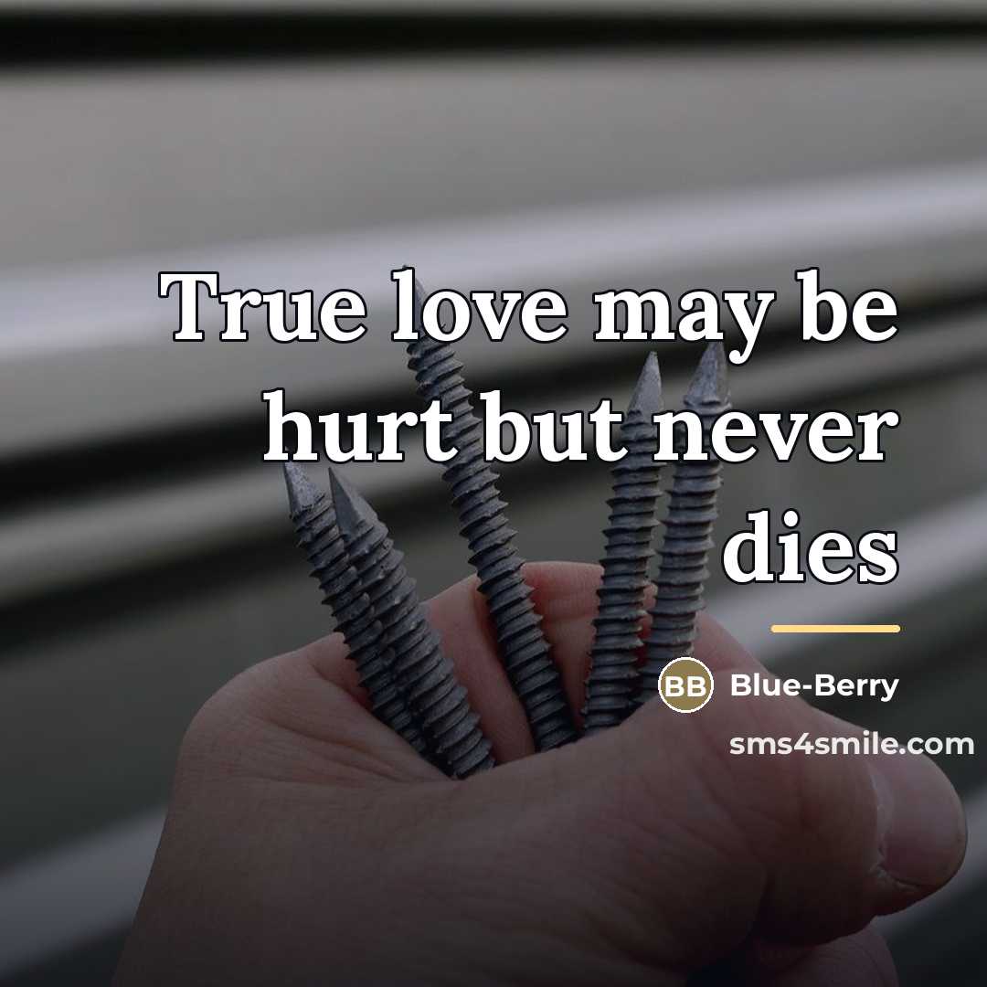 “True love may be hurt but never dies…” quote by Blue-Berry