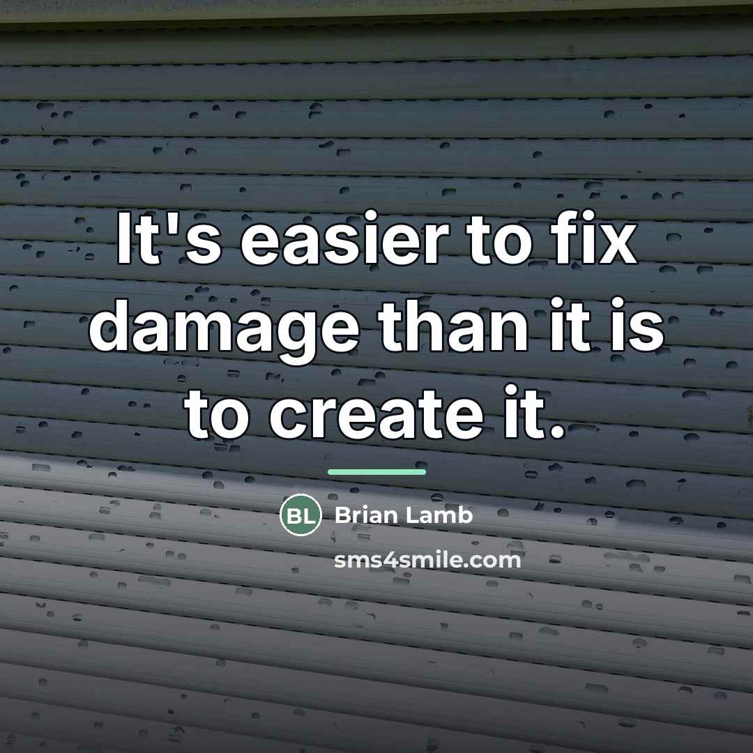 “It's easier to fix damage than it is to create…” quote by Brian Lamb