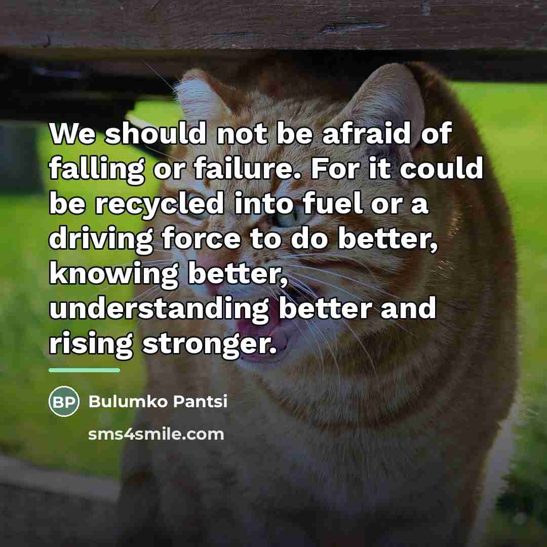 “We should not be afraid of falling or failure. For…” quote by Bulumko Pantsi