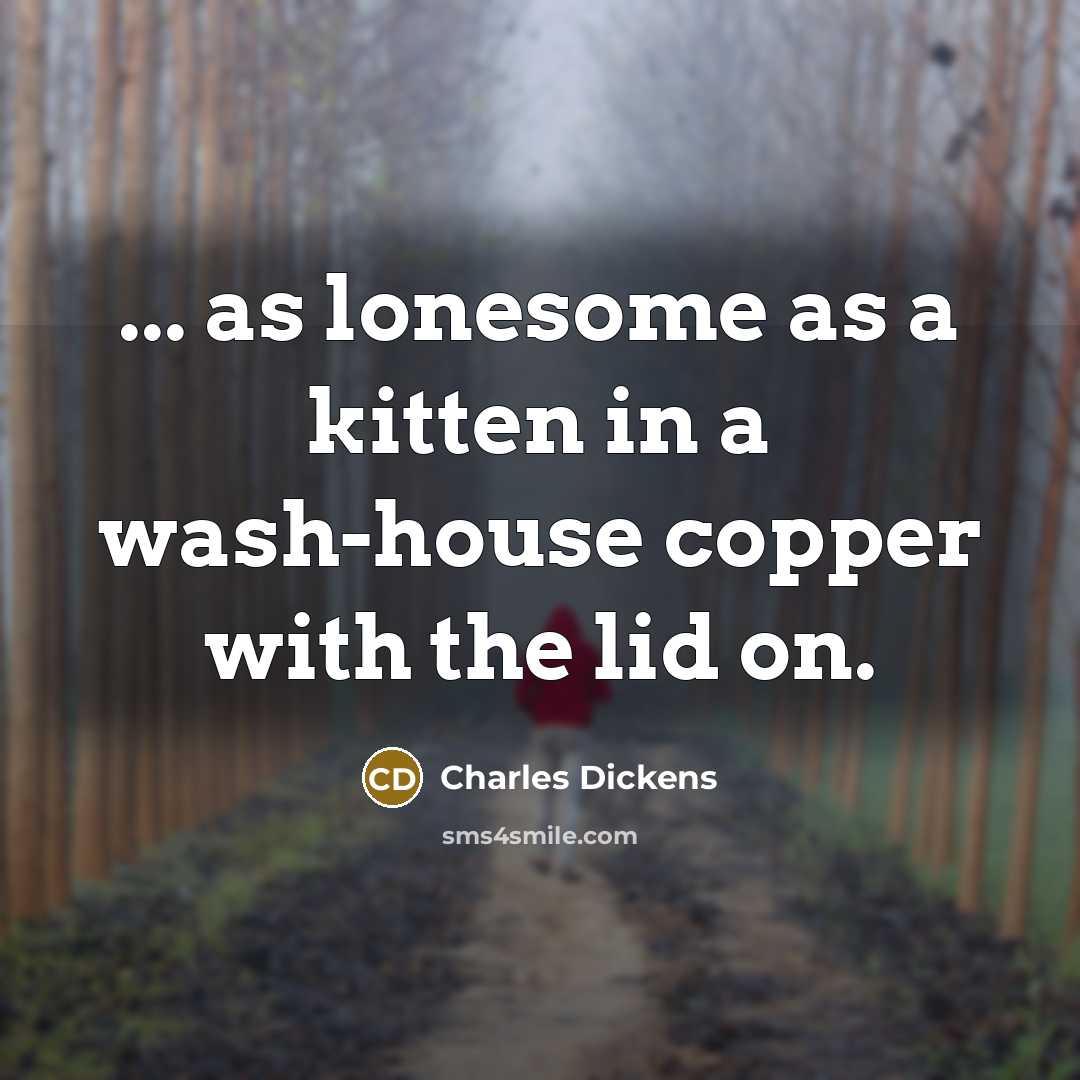 “... as lonesome as a kitten in a wash-house copper…” quote by Charles Dickens