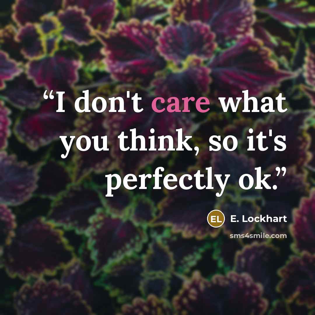 “I don't care what you think, so it's perfectly ok.” quote by E. Lockhart