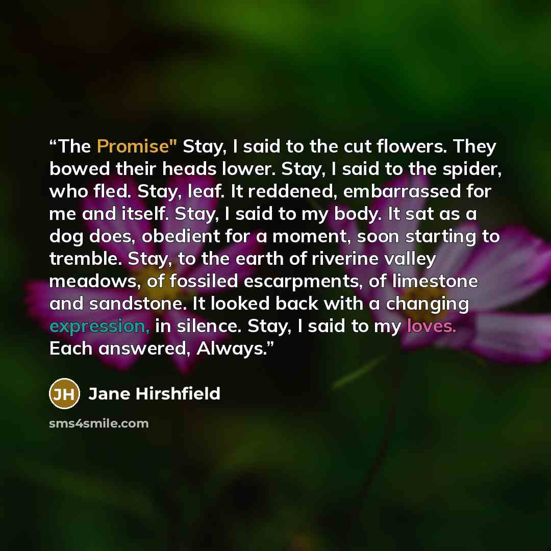 “The Promise" Stay, I said to the cut flowers. They bowed their heads lower. Stay, I said to the spider, who fled. Stay, leaf. It reddened, embarrassed for me and itself. Stay, I said to my body. It sat as a dog does, obedient for a moment, soon starting to tremble. Stay, to the earth of riverine…” quote by Jane Hirshfield