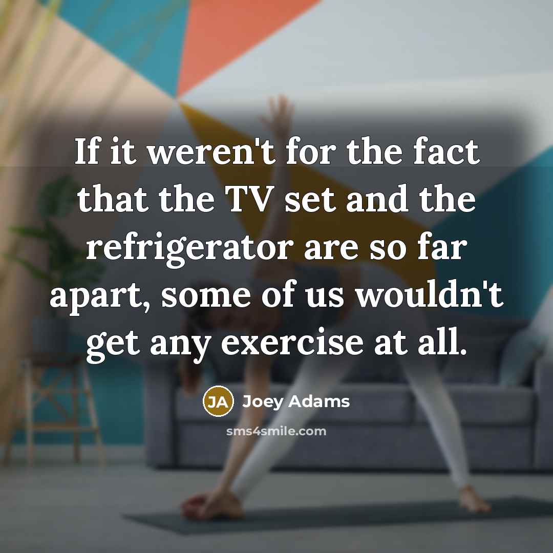 “If it weren't for the fact that the TV set…” quote by Joey Adams