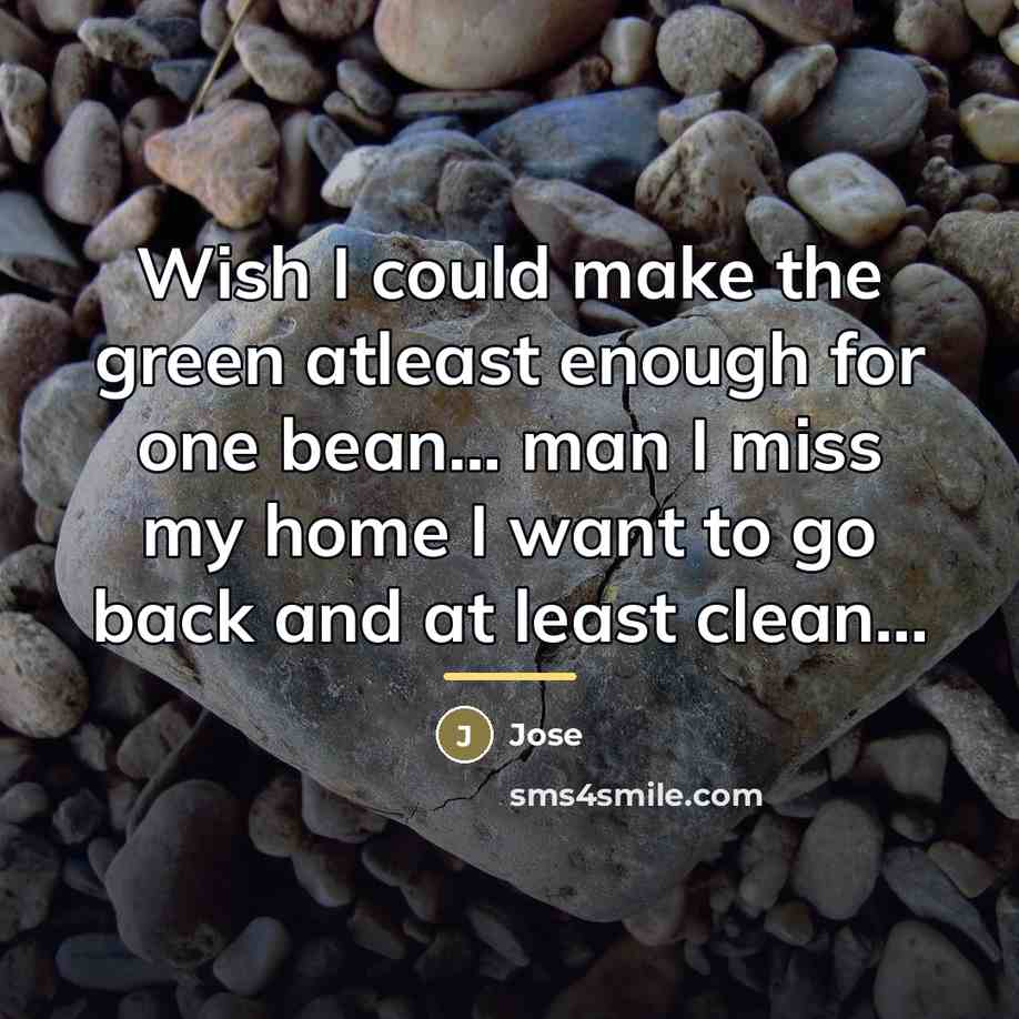 “Wish I could make the green atleast enough for one…” quote by Jose