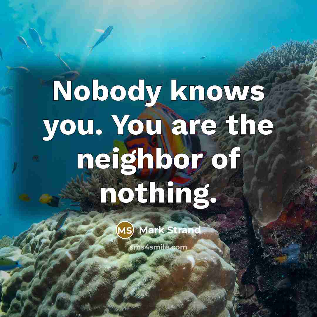 “Nobody knows you. You are the neighbor of nothing.…” quote by Mark Strand