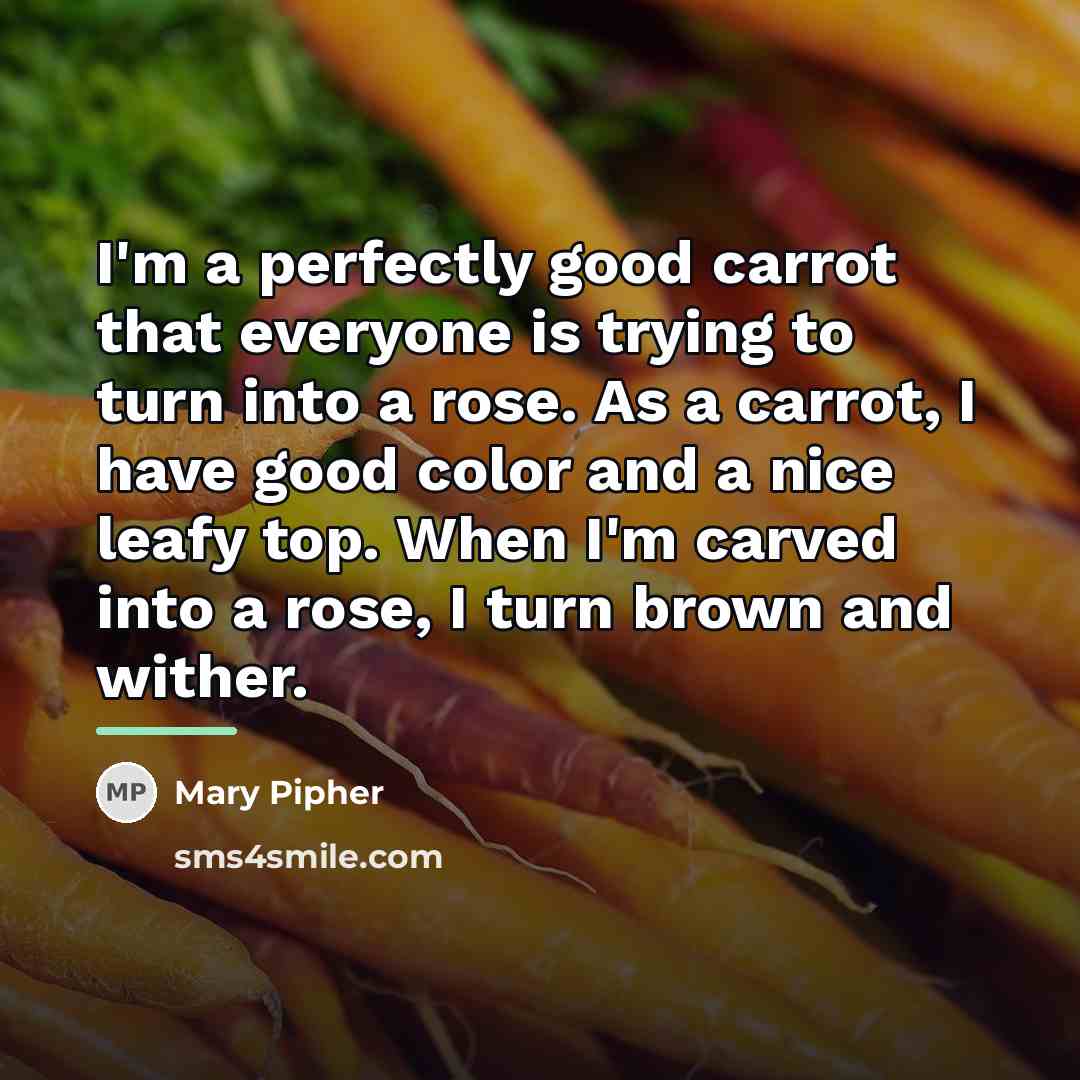 “I'm a perfectly good carrot that everyone is trying to…” quote by Mary Pipher