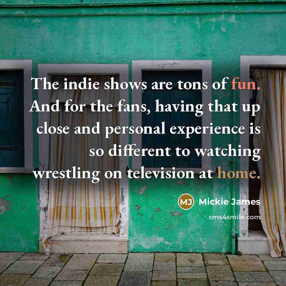 “The indie shows are tons of fun. And for the…” quote by Mickie James