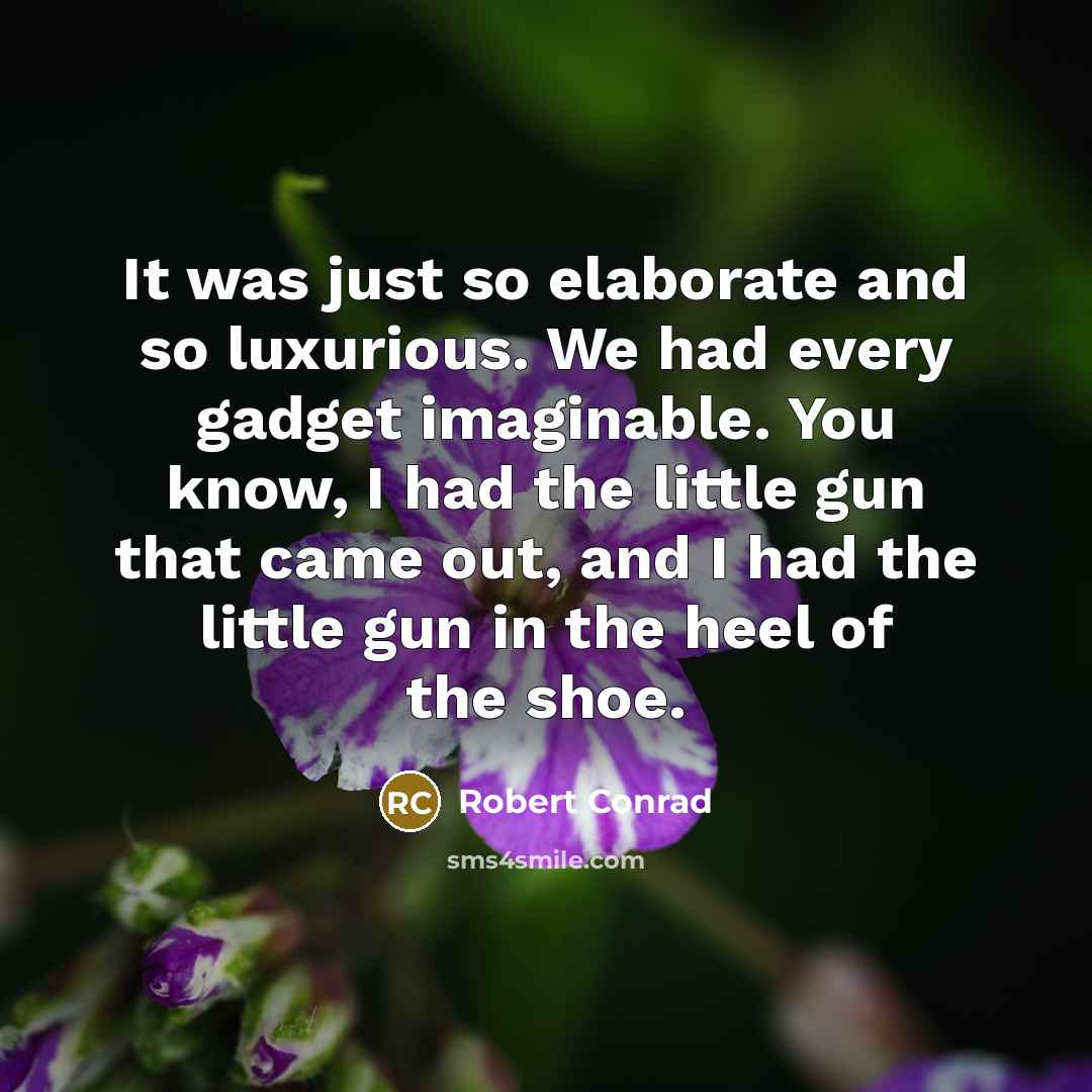 “It was just so elaborate and so luxurious. We had…” quote by Robert Conrad