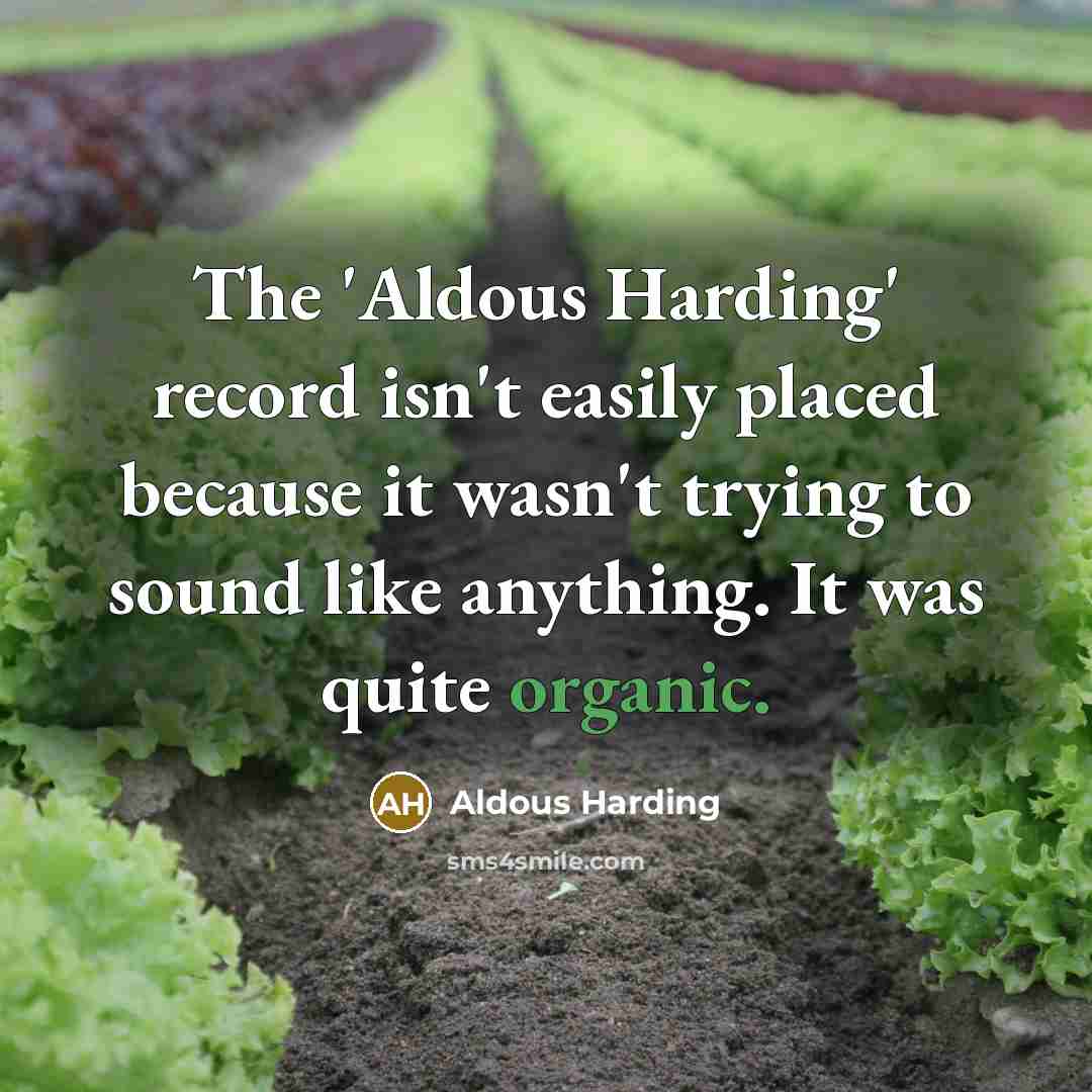 “The 'Aldous Harding' record isn't easily placed because it wasn't…” quote by Aldous Harding