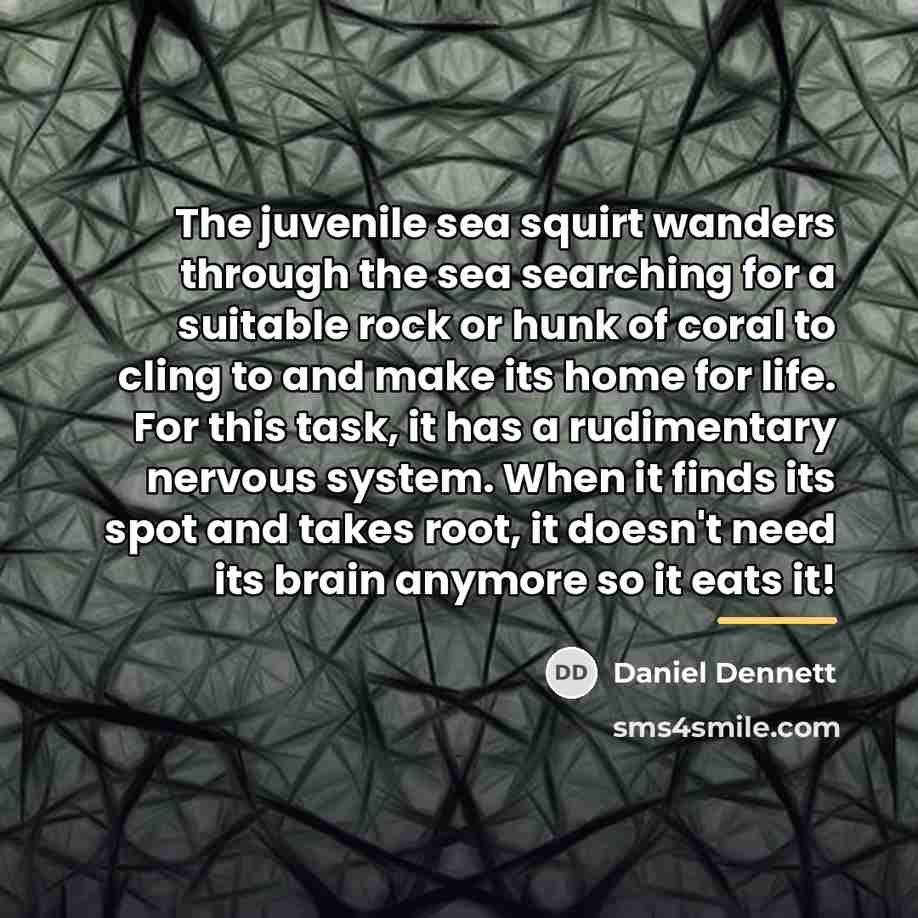“The juvenile sea squirt wanders through the sea searching for…” quote by Daniel Dennett