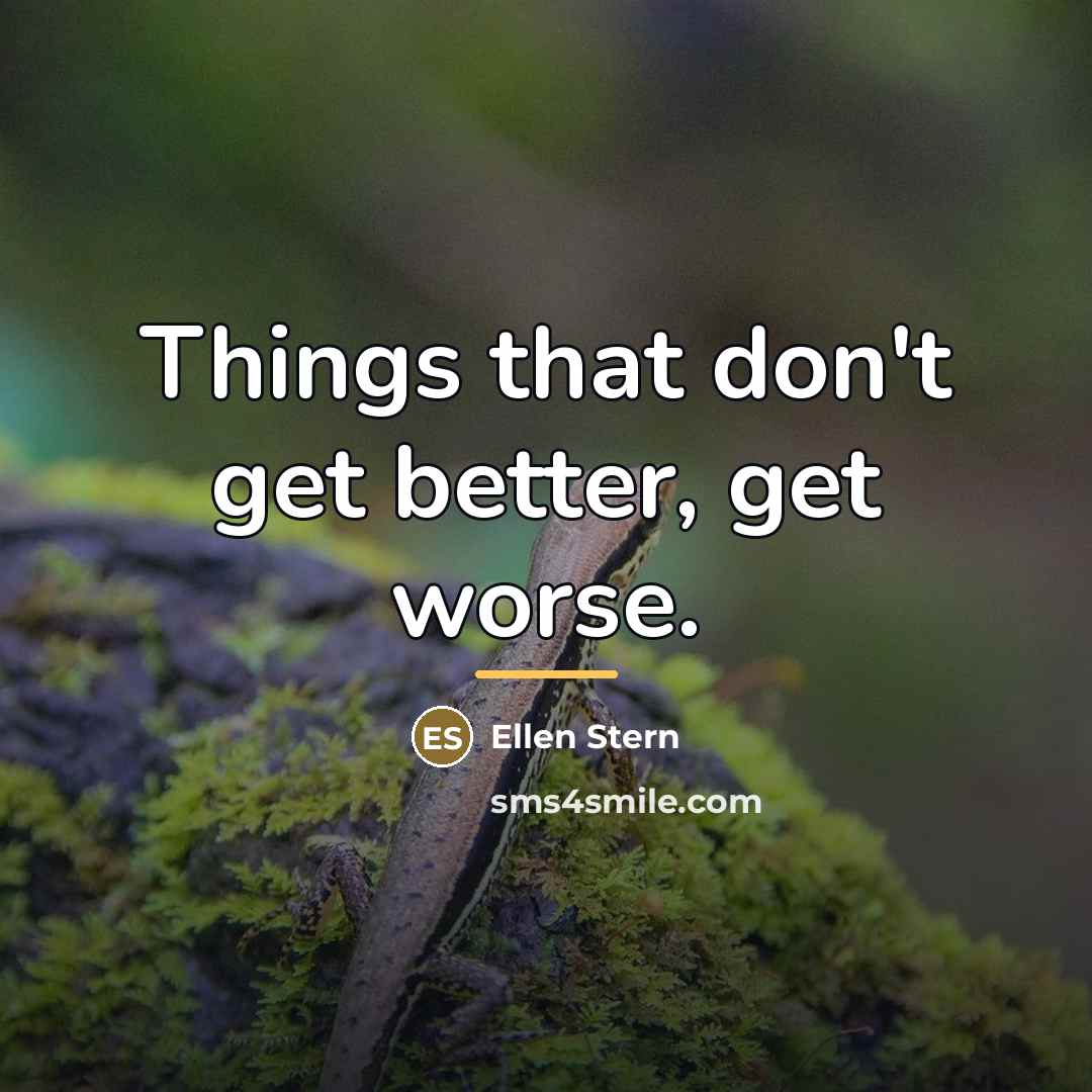 “Things that don't get better, get worse.…” quote by Ellen Stern
