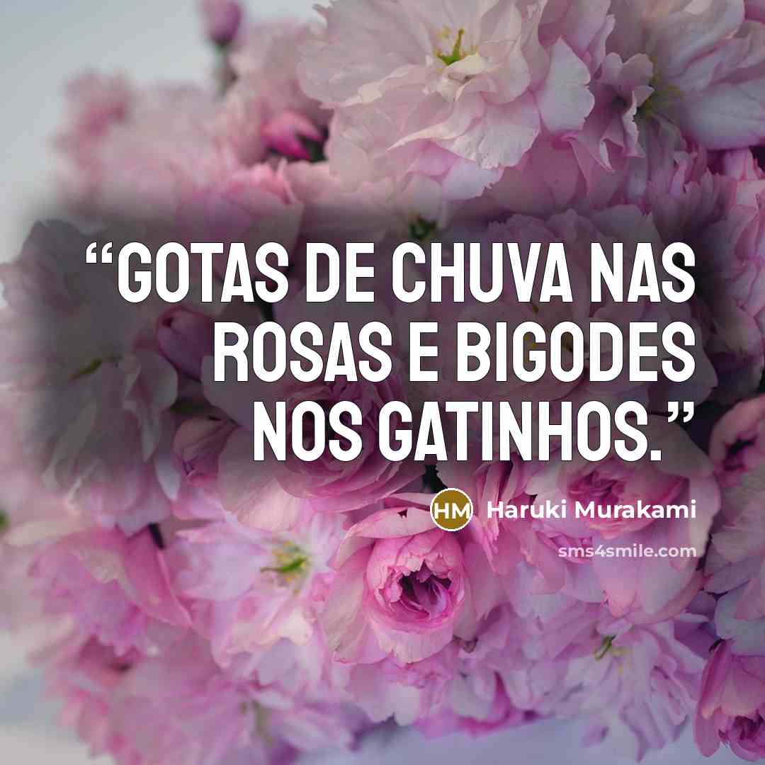 “Gotas de chuva nas rosas e bigodes nos gatinhos.” quote by Haruki Murakami